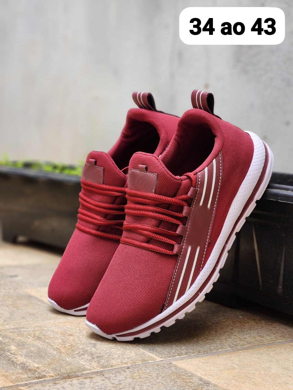 fila bordo